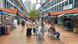 Toa Payoh Central (D12), Shop House #454582821